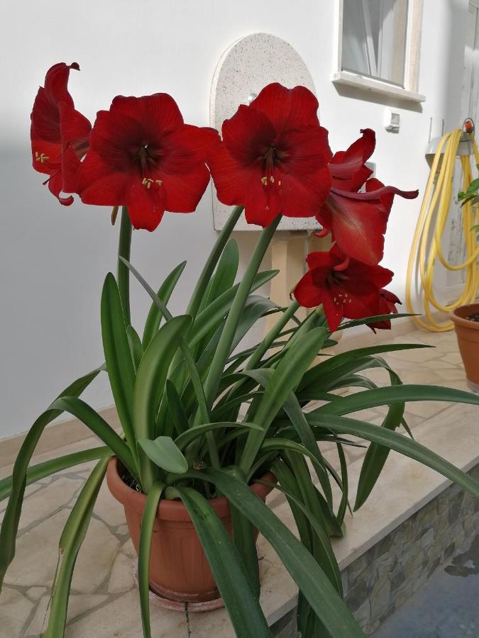 Casa Cost Holiday home *